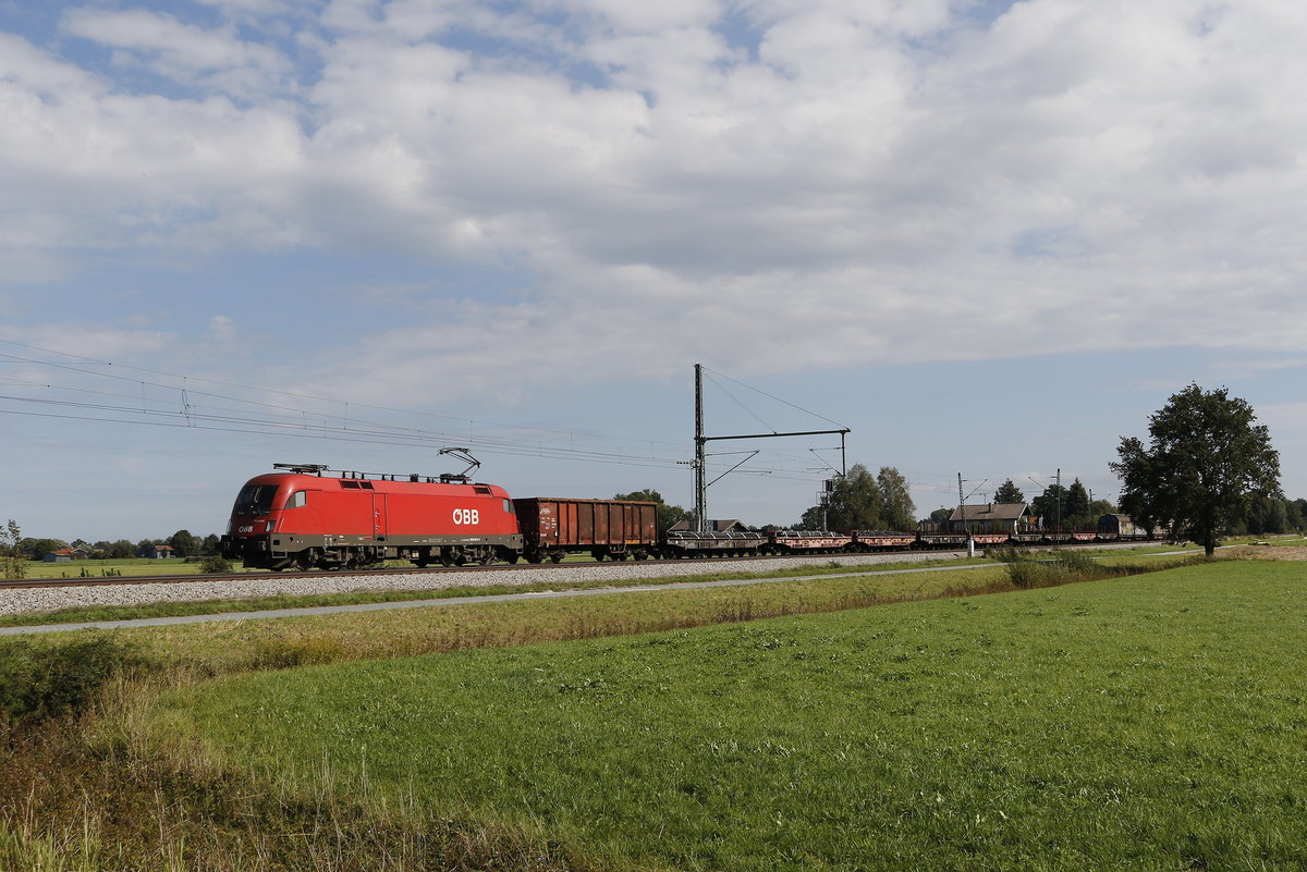 1016 013 mit einem gemischten G�terzug am 19. September 2018 bei �bersee.