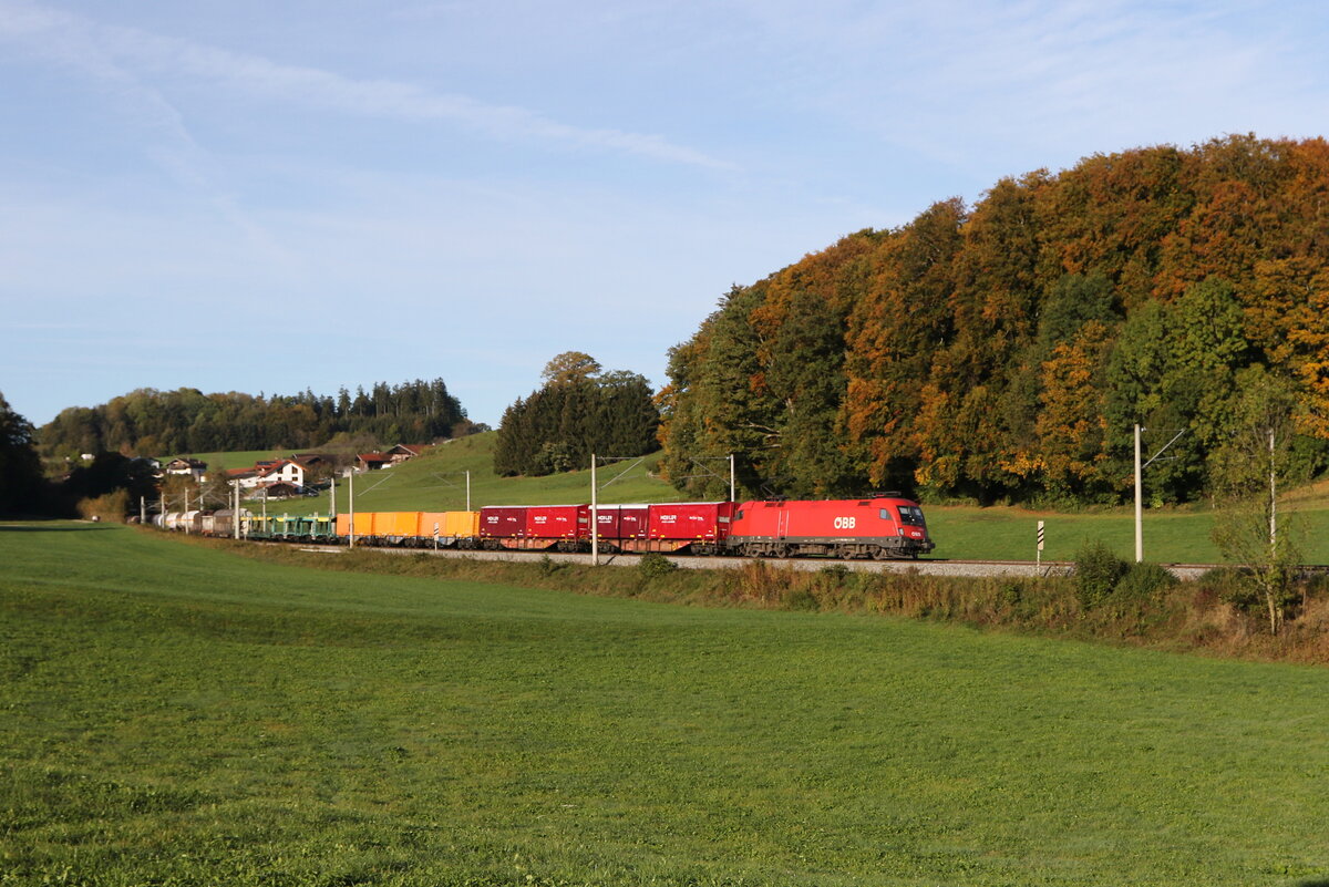 1116 096 war am 12. Oktober 2024 mit einem gemischten G�terzug bei Axdorf in Richtung Salzburg unterwegs.