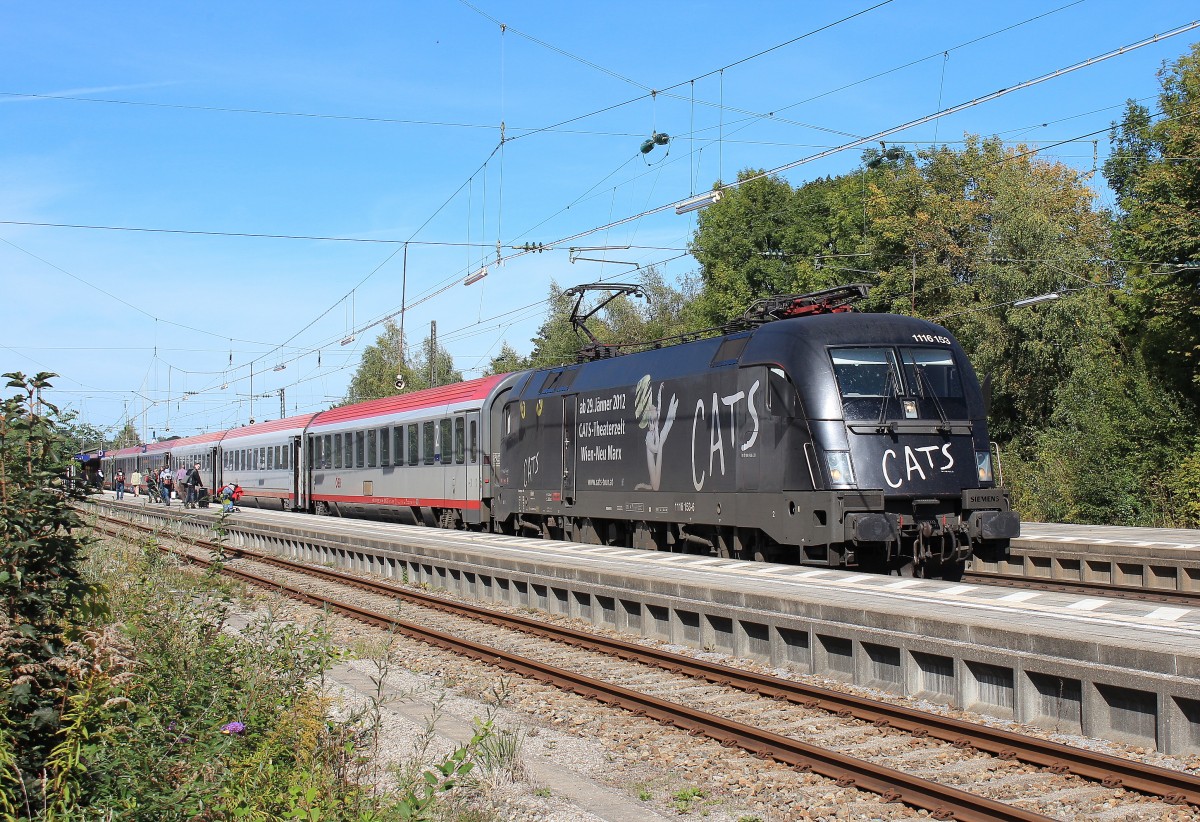 1116 153  CATS  am 25. September 2012 im Bahnhof von Prien am Chiemsee.
