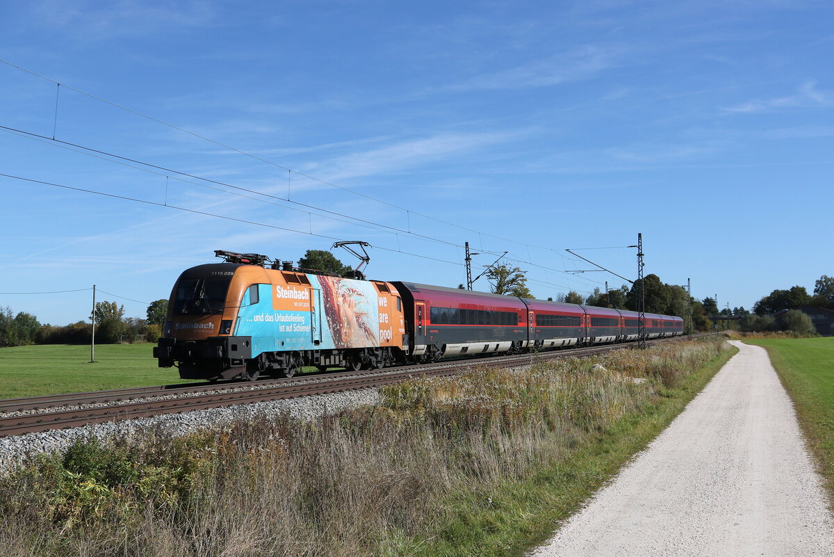 1116 229  Steinbach  war am 20. Oktober 2021 bei �bersee auf dem Weg nach M�nchen.