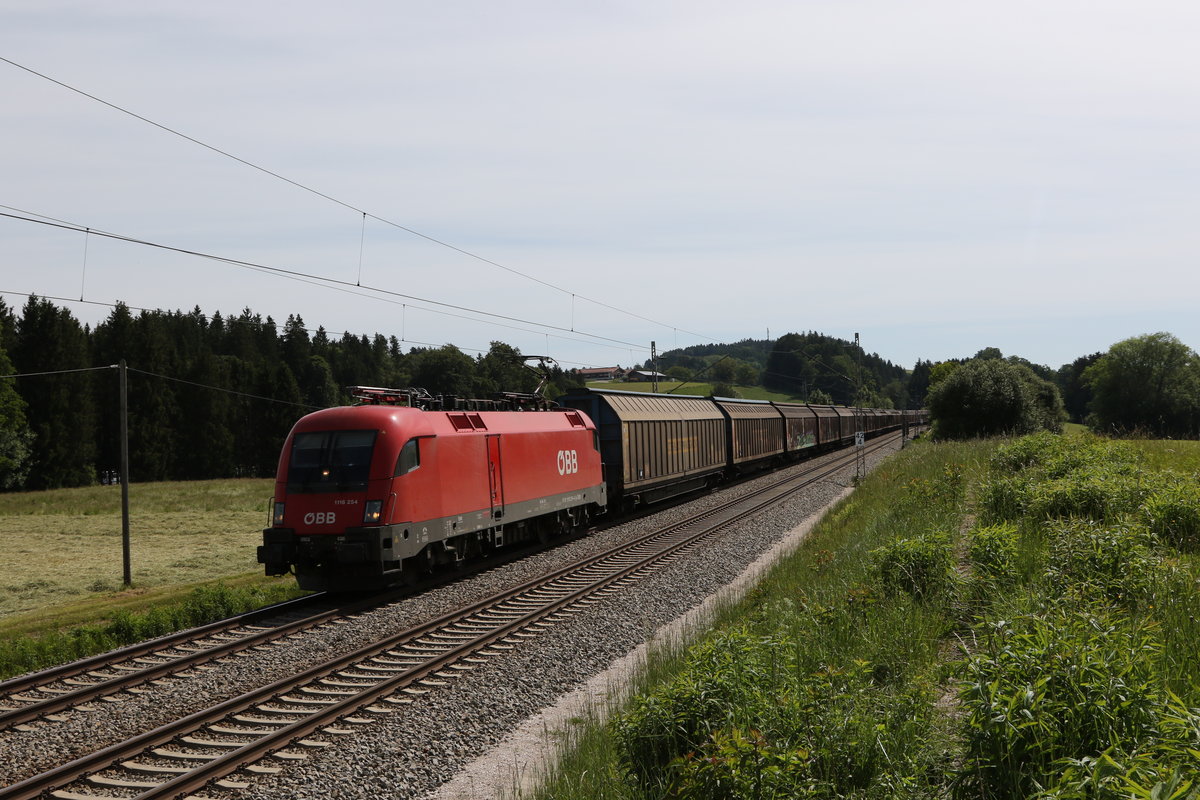 1116 254 mit dem  Audi-Zug  am 3. Juni 2020 bei Grabenst�tt im Chiemgau.