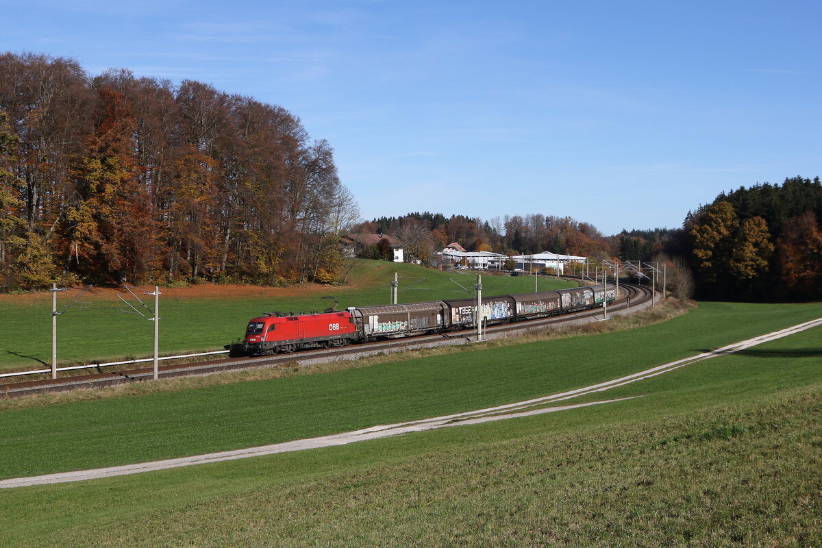 1116 260 mit dem  Papierzug  aus Salzburg kommend am 4. November 2025 bei Axdorf im Chiemgau.