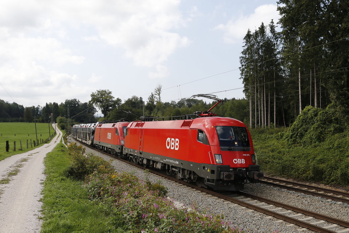 1116 273 und 1116 272 waren am 5. September 2018 bei Grabenst�tt in Richtung Salzburg unterwegs.
