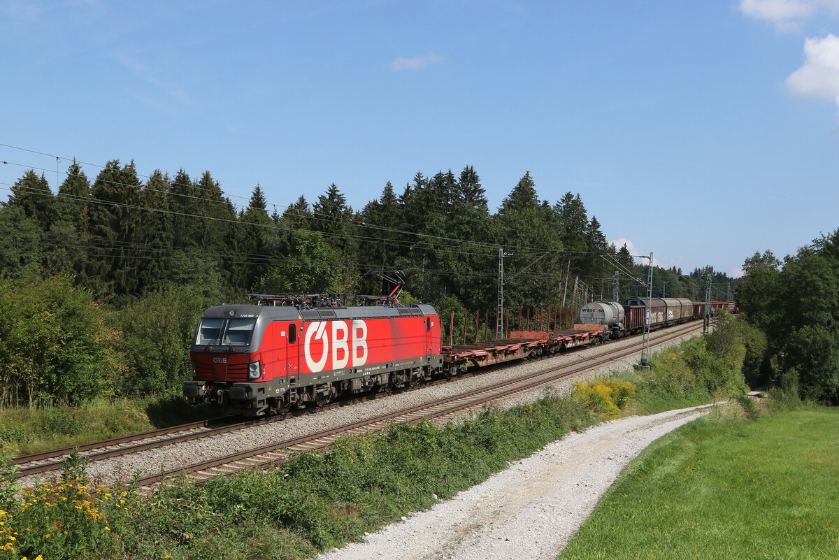 1293 060 mit einem gemischten G�terzug aus Salzburg kommend am 30. August 2022 bei Grabenst�tt im Chiemgau.