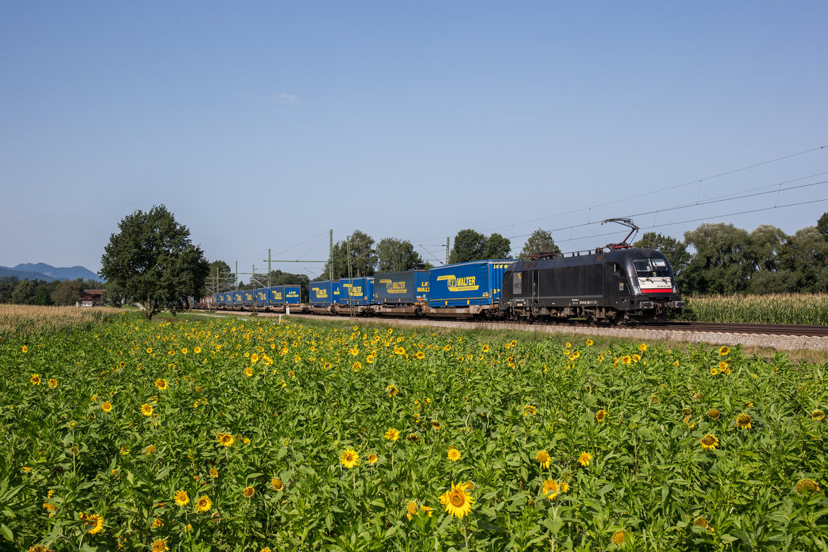 182 562 mit dem  Walter -Zug am 26. August 2017 bei �bersee am Chiemsee.