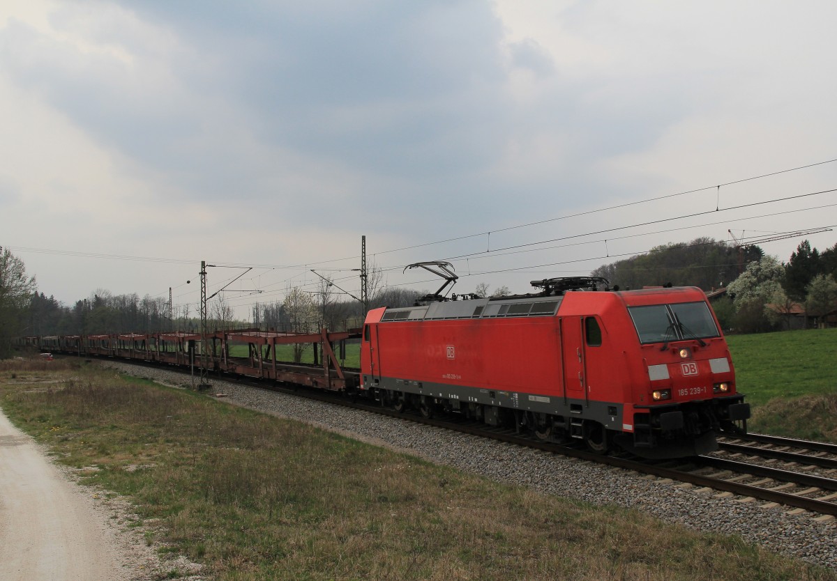 185 239-1 zieht am 5. April 2014 einen aus unbeladenen Autotransportwaggons bestehenden Zug in Richtung Salzburg. Aufgenommen bei �bersee am Chiemsee.