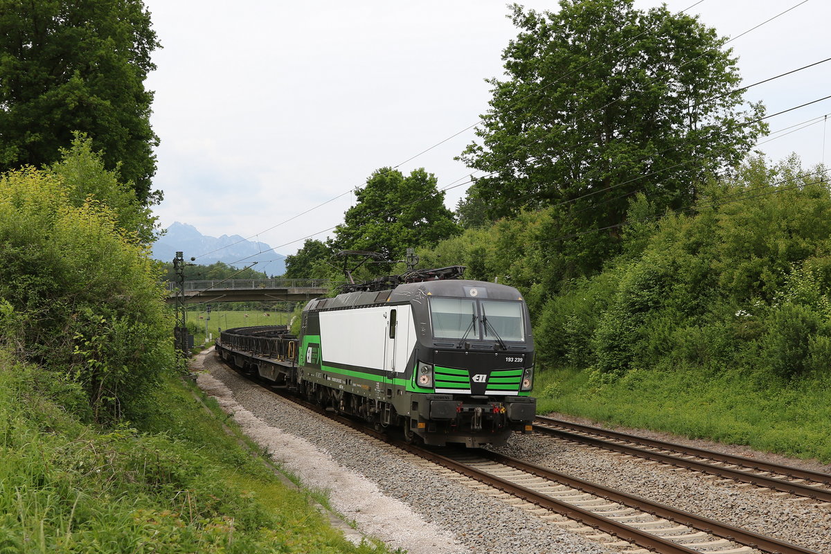 193 239 mit einem Flachenwagenzug aus M�nchen kommend am 22. Mai 2020 bei Grabenst�tt.