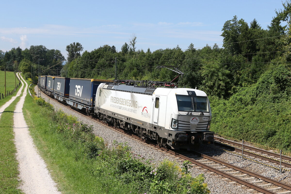 193 617  Friedensbewegung  war am 17. August 2023 mit einem  KLV  bei Sossau in Richtung Freilassing unterwegs.