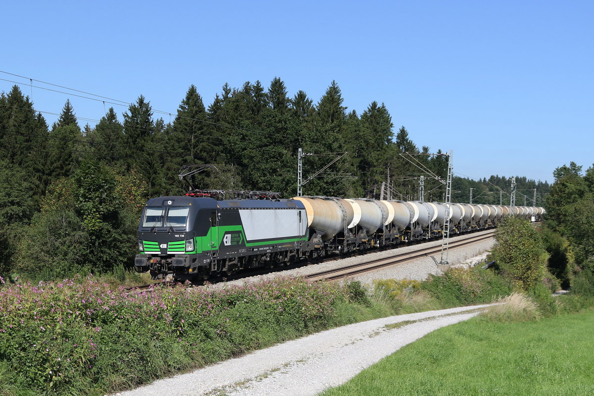 193 736 mit einem Kesselwagenzug aus Freilassing kommend am 15. September 2019 bei Grabenst�tt.
