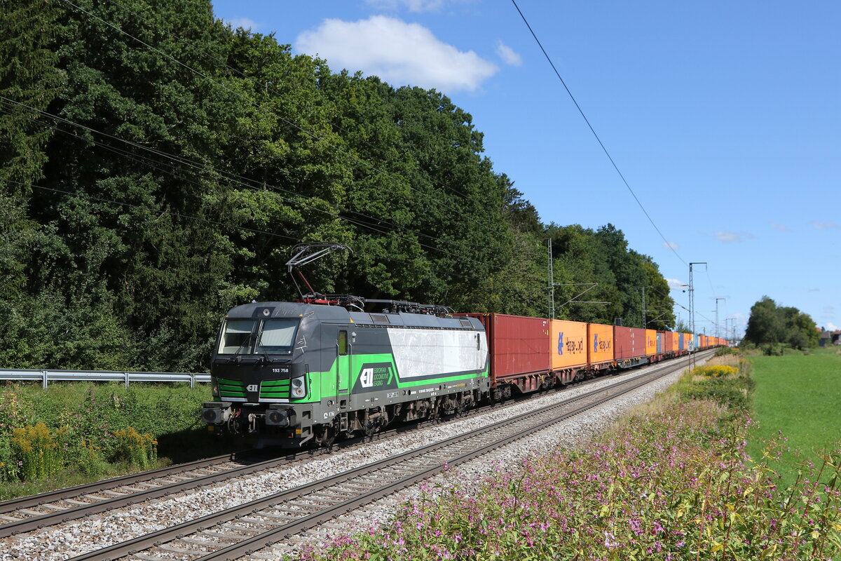 6193 758 von  ELL  mit einem Containerzug aus Salzburg kommend am 6. September 2025 bei Hufschlag.