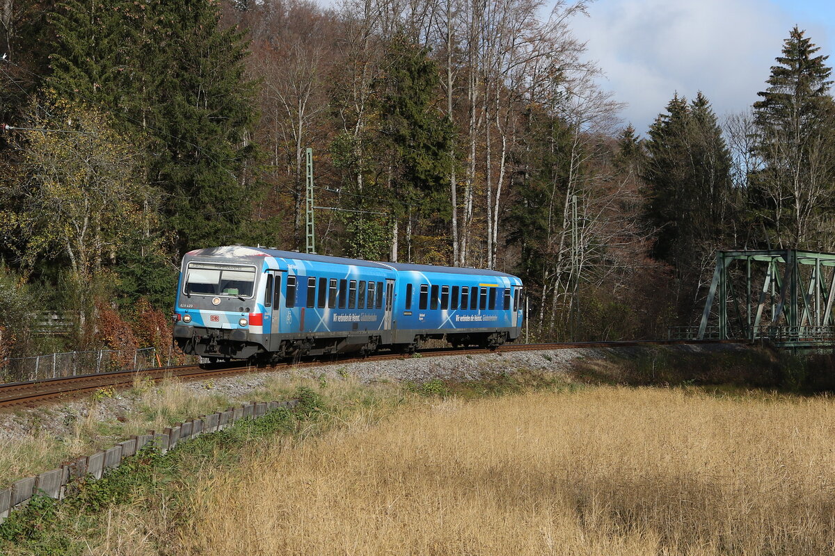 628 423 aus Traunstein kommend am 6. November 2022 bei Eisen�rzt.