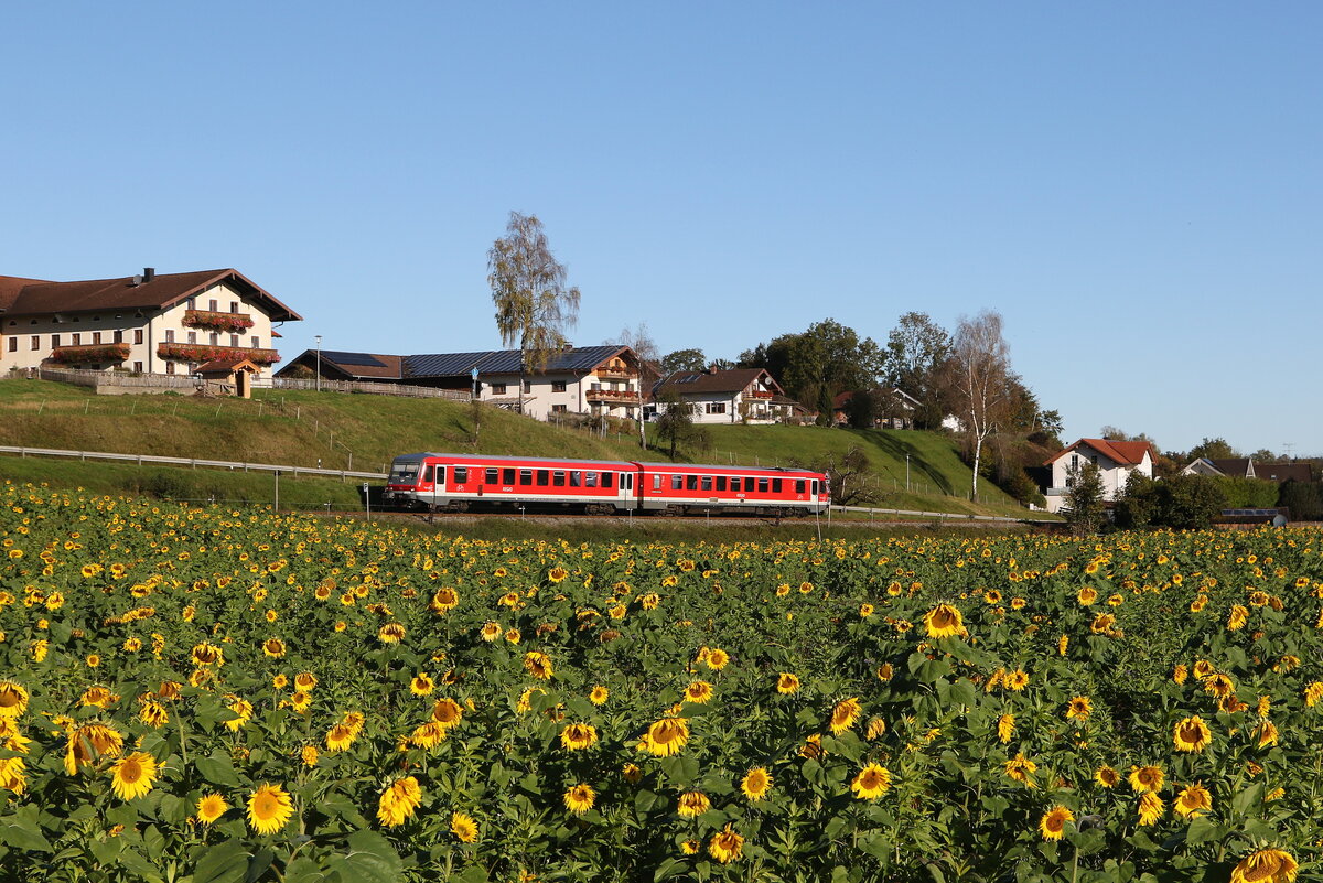 628 685 auf dem Weg nach Traunstein. Aufgenommen am 9. Oktober 2024 bei H�rpolding.