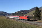 1016 040 war mit dem  Transalpin  am 10.